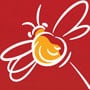 Favicon Tigoo-miel